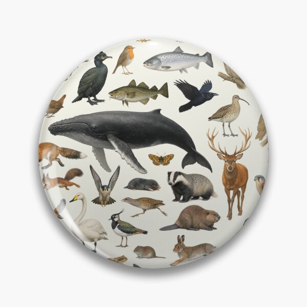 Item preview, Animals of Ireland Retro Style Wildlife Chart designed and sold by kakarikihill.
