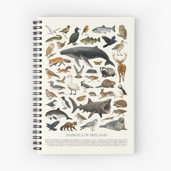 Item preview, Animals of Ireland Retro Style Wildlife Chart designed and sold by kakarikihill.