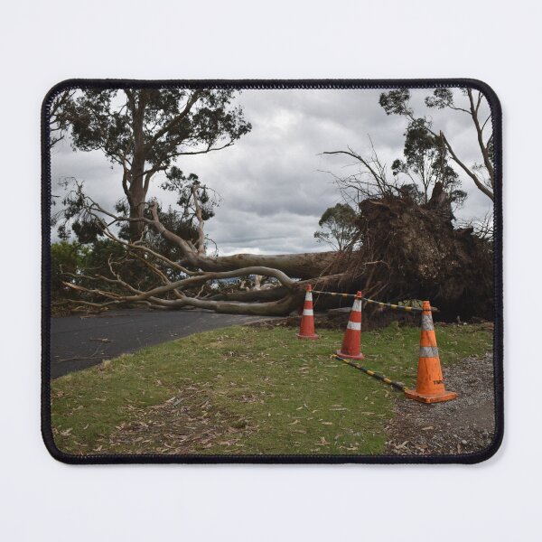 Item preview, Fallen Tree Across Roadway designed and sold by getmybookstore.