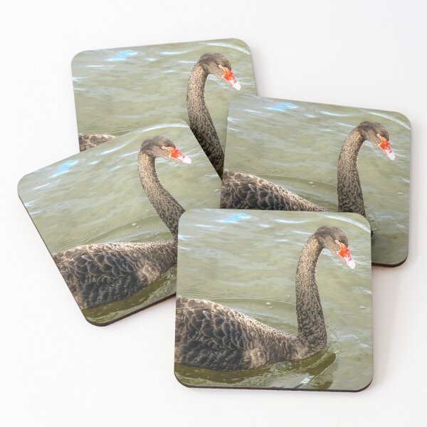 Item preview, Black Swan designed and sold by Ross.A.Campbell.