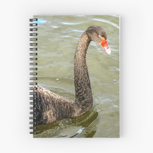 Artikelvorschau, Schwarzer Schwan entworfen und verkauft von Ross.A.Campbell.