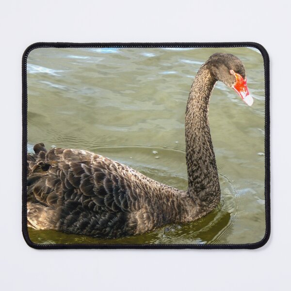 Item preview, Black Swan designed and sold by Ross.A.Campbell.