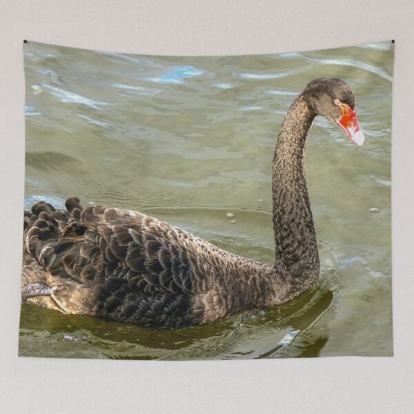 Item preview, Black Swan designed and sold by Ross.A.Campbell.