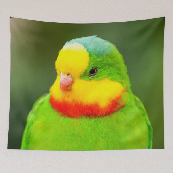 Item preview, Superb Parrot designed and sold by Ross.A.Campbell.