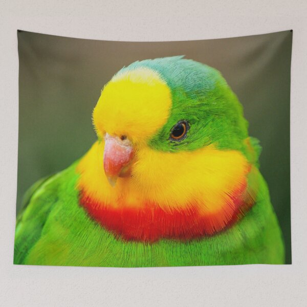 Item preview, Superb Parrot designed and sold by Ross.A.Campbell.