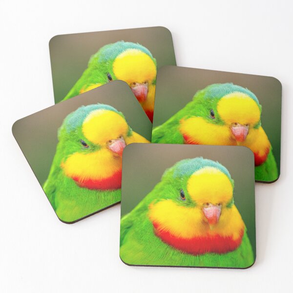 Item preview, Superb Parrot designed and sold by Ross.A.Campbell.