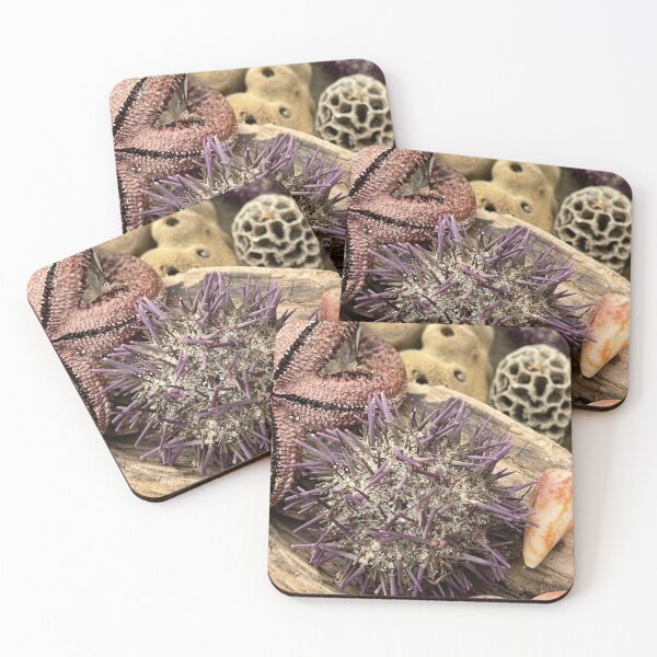Item preview, Mermaid treasures from the Seaside. designed and sold by Sim Baker.