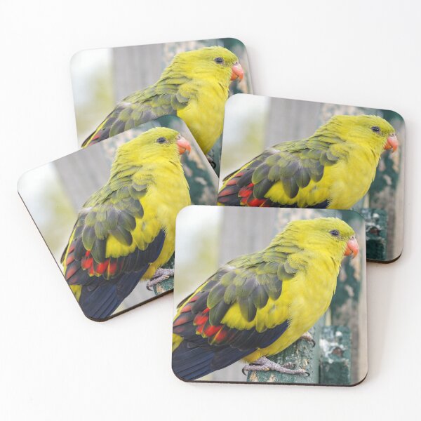 Item preview, Regent Parrot designed and sold by Ross.A.Campbell.