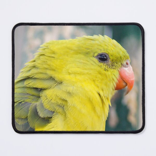 Item preview, Regent Parrot designed and sold by Ross.A.Campbell.