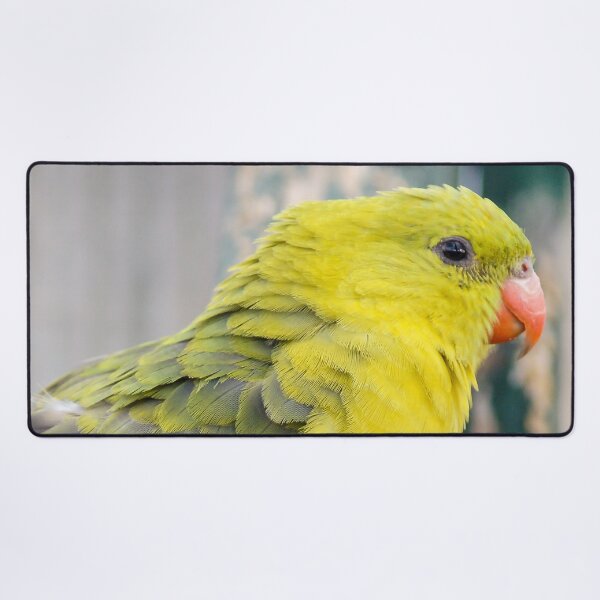 Item preview, Regent Parrot designed and sold by Ross.A.Campbell.