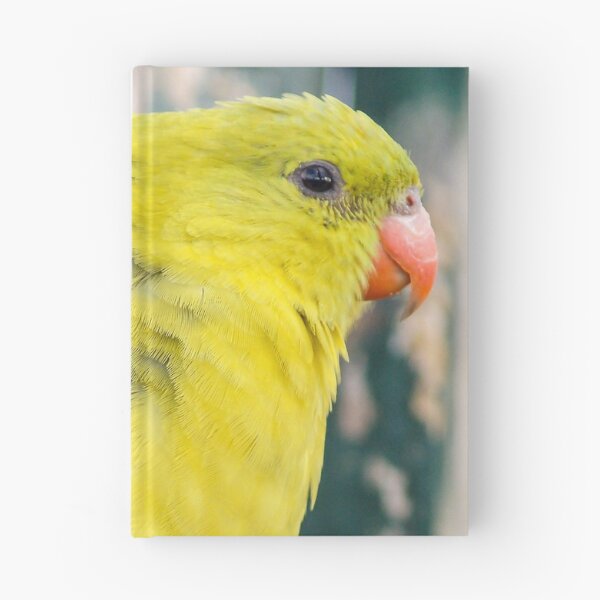 Item preview, Regent Parrot designed and sold by Ross.A.Campbell.