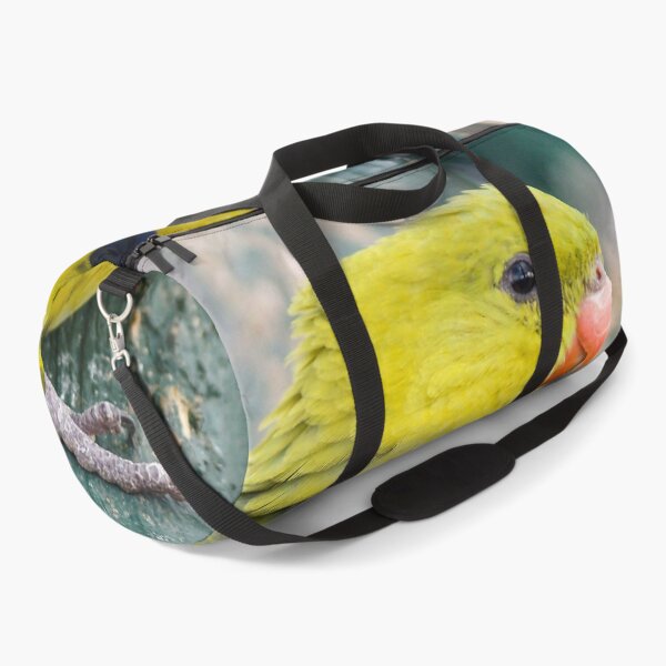 Item preview, Regent Parrot designed and sold by Ross.A.Campbell.