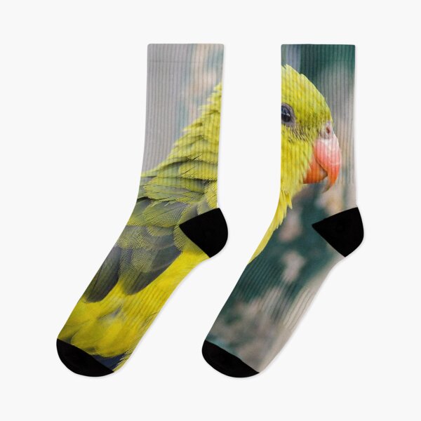 Item preview, Regent Parrot designed and sold by Ross.A.Campbell.