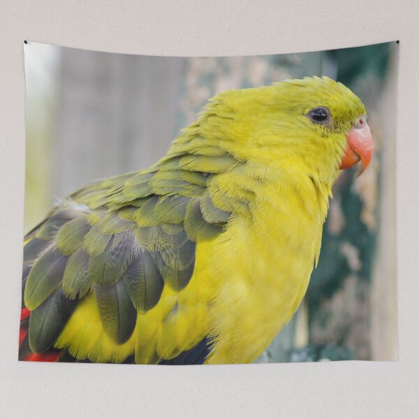 Item preview, Regent Parrot designed and sold by Ross.A.Campbell.