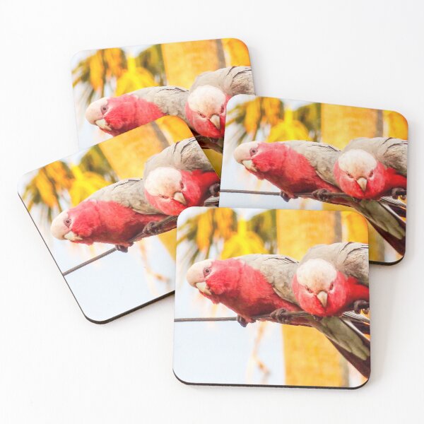 Item preview, Galahs designed and sold by Ross.A.Campbell.