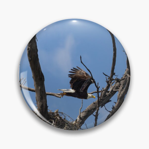 Item preview, Bald Eagle Mama Flies To Feed The Baby designed and sold by PsychoAlien.com.