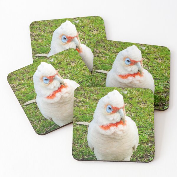 Item preview, Eastern Long Billed Corella designed and sold by Ross.A.Campbell.