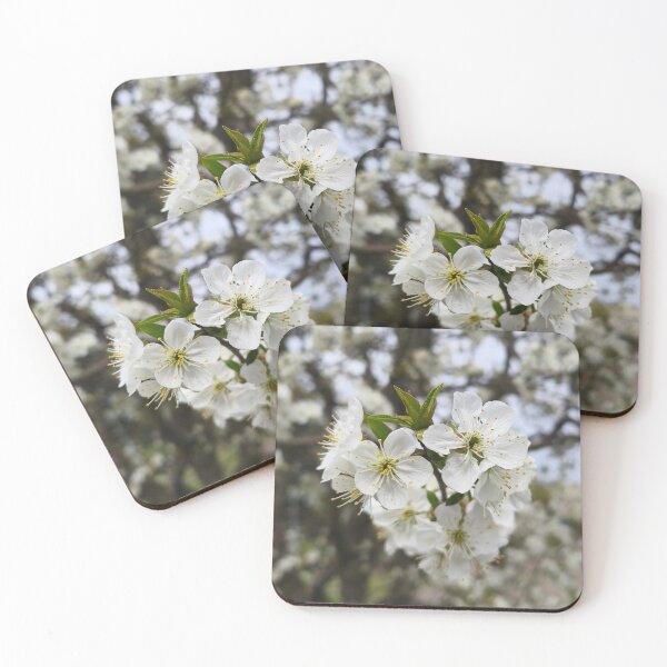 Item preview, White Cherry Blossom Branch Botanical Photography designed and sold by Kainicram.