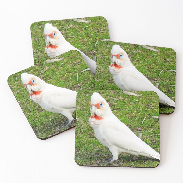 Item preview, Eastern Long Billed Corella designed and sold by Ross.A.Campbell.