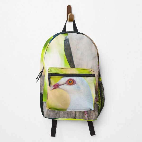 Item preview, White-Headed Pigeon designed and sold by Ross.A.Campbell.