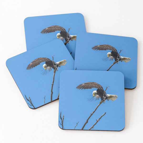 Item preview, Bald Eagle Landing In The OC designed and sold by PsychoAlien.com.