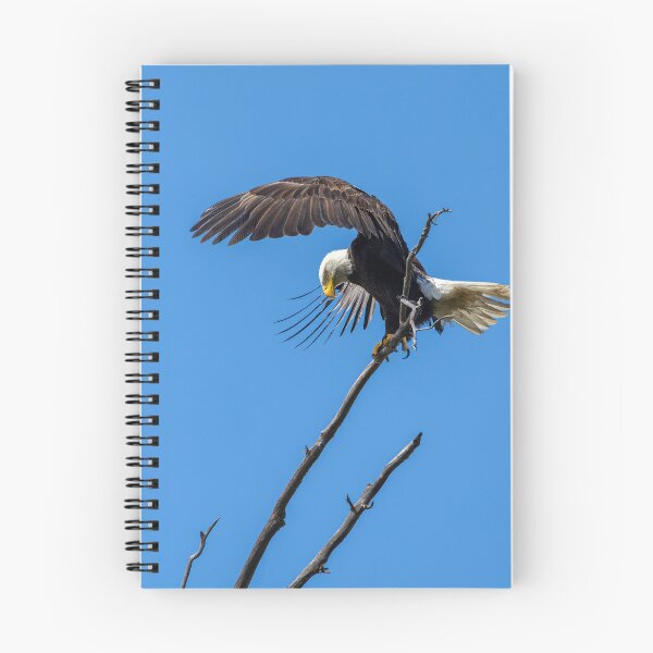 Item preview, Bald Eagle Landing In The OC designed and sold by PsychoAlien.com.