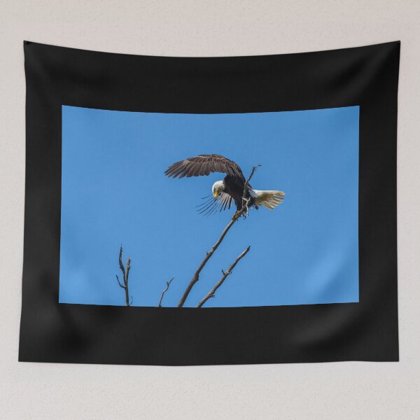 Item preview, Bald Eagle Landing In The OC designed and sold by PsychoAlien.com.