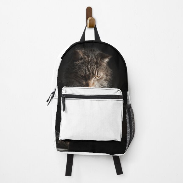 Item preview, A cat wearing a suit works at a computer in dim light. designed and sold by khemjiraphoto.