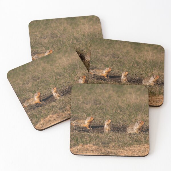 Item preview, Columbian Ground Squirrel Family at Burrow Athol, Idaho designed and sold by Elwynn WildLight Photography.