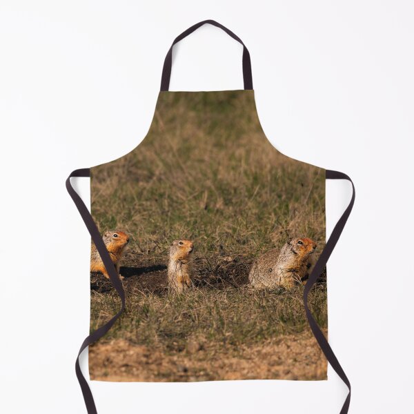 Item preview, Columbian Ground Squirrel Family at Burrow Athol, Idaho designed and sold by Elwynn WildLight Photography.