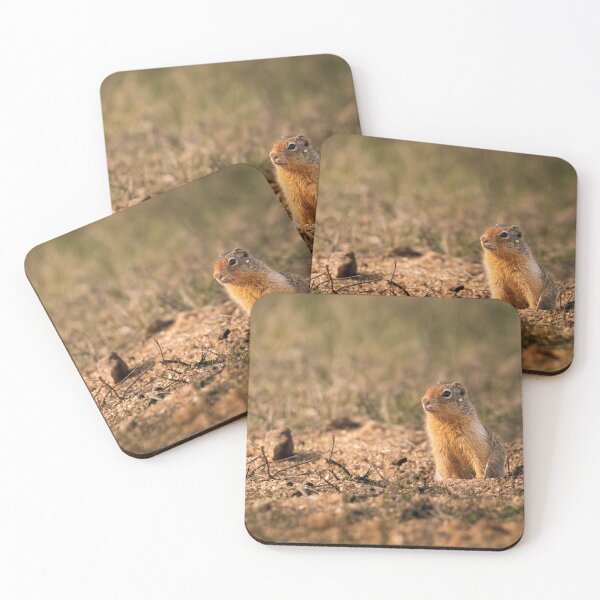 Item preview, Columbian Ground Squirrel Playing with Sawdust and Sunlight Athol, Idaho designed and sold by Elwynn WildLight Photography.