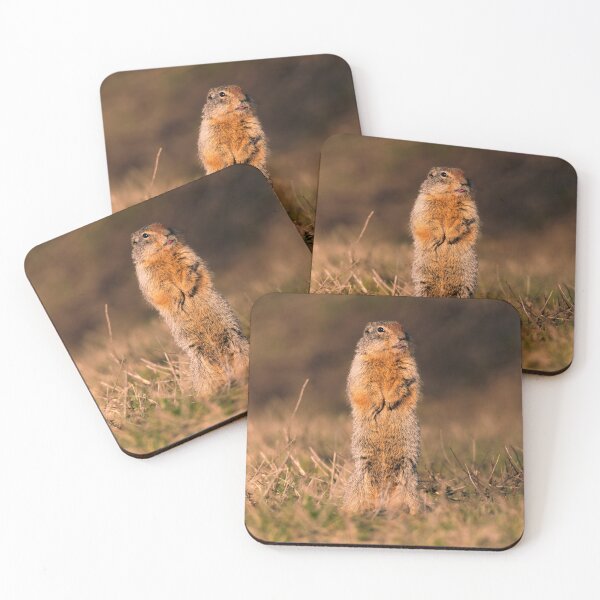 Item preview, Standing Columbian Ground Squirrel Athol, Idaho designed and sold by Elwynn WildLight Photography.