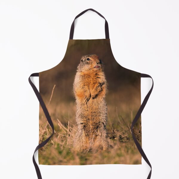 Item preview, Standing Columbian Ground Squirrel Athol, Idaho designed and sold by Elwynn WildLight Photography.
