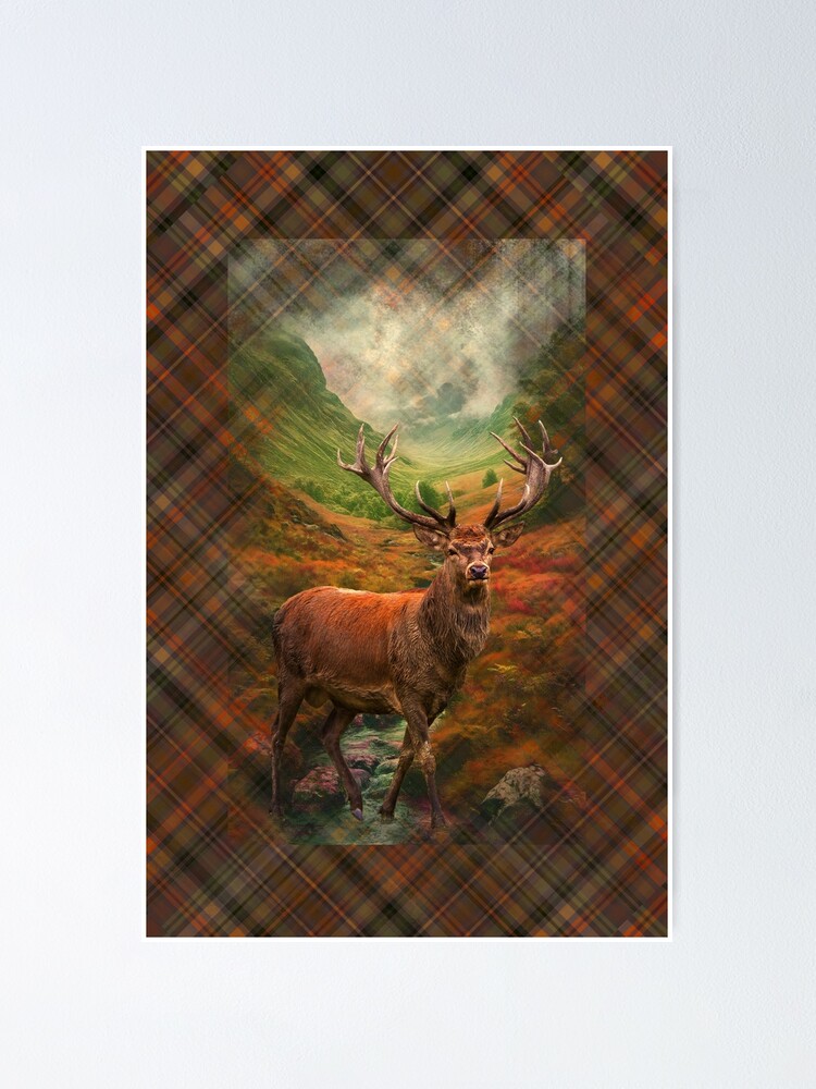 Thumbnail 1 von 3, Poster, Schottischer Rothirsch designt und verkauft von Alisonchambers2.
