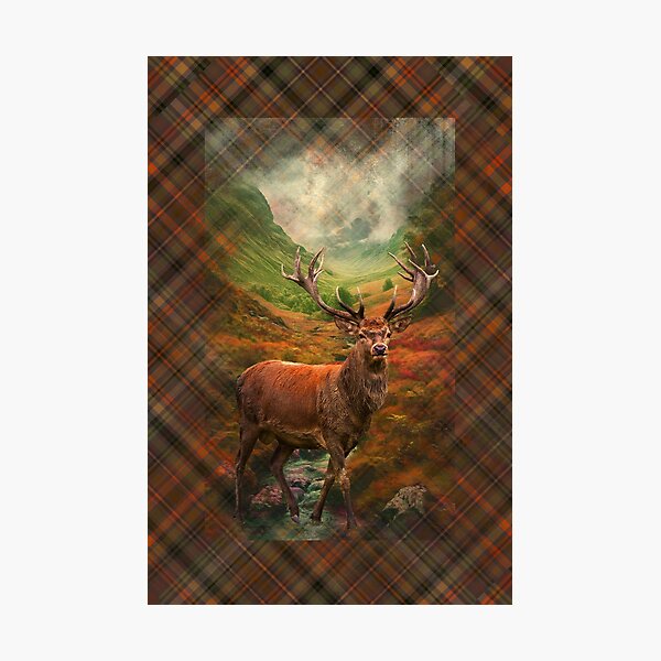Item preview, Scottish Red Deer Stag designed and sold by Alisonchambers2.