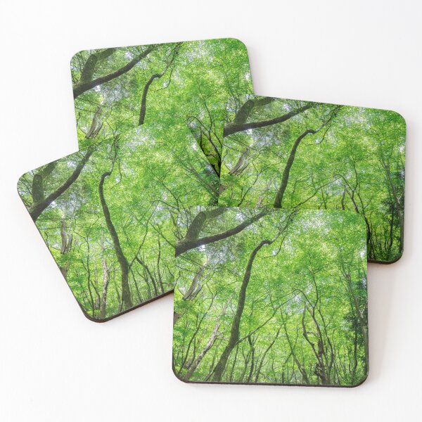 Item preview, Luminous Canopy – Forest of Light and Renewal designed and sold by clipboxjp.