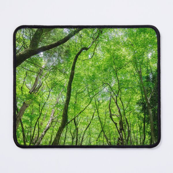 Item preview, Luminous Canopy – Forest of Light and Renewal designed and sold by clipboxjp.