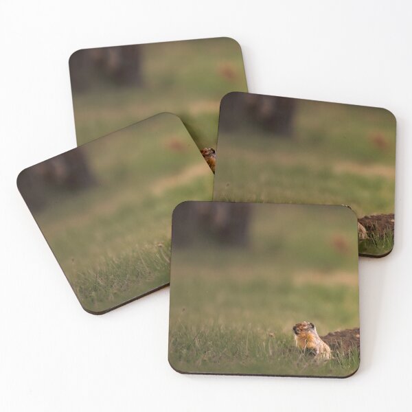 Item preview, Columbian Ground Squirrel Stops to Rest Athol, Idaho designed and sold by Elwynn WildLight Photography.