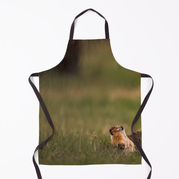 Item preview, Columbian Ground Squirrel Stops to Rest Athol, Idaho designed and sold by Elwynn WildLight Photography.