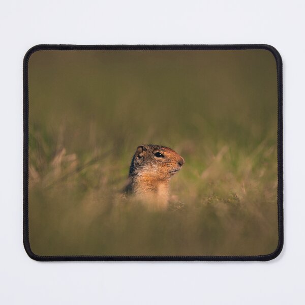 Item preview, Columbian Ground Squirrel Peeking from Grass Athol, Idaho designed and sold by Elwynn WildLight Photography.