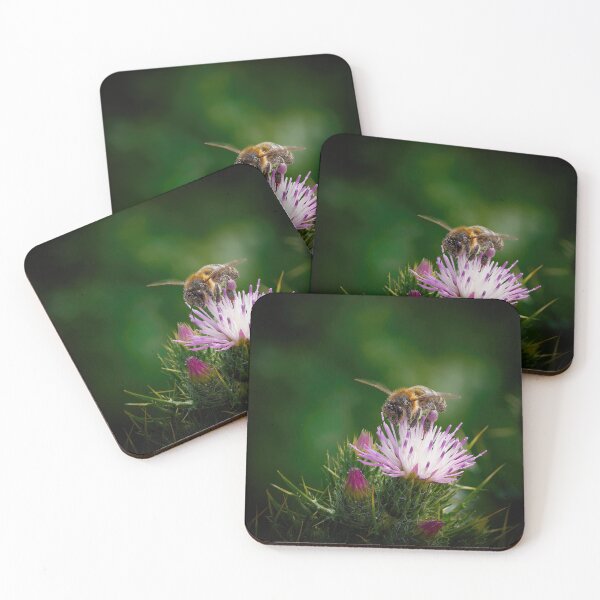 Item preview, Thistle Do For Me  designed and sold by Ralph Goldsmith.