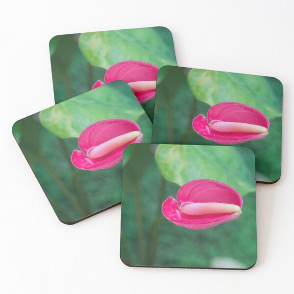 Item preview, Flamingo Flower or Tailflower designed and sold by ROSE ANN BANILAR.