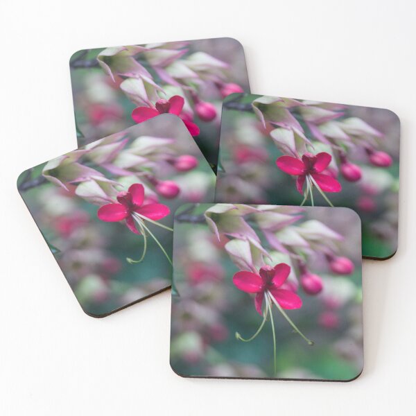 Item preview, Bleeding-heart vine designed and sold by ROSE ANN BANILAR.