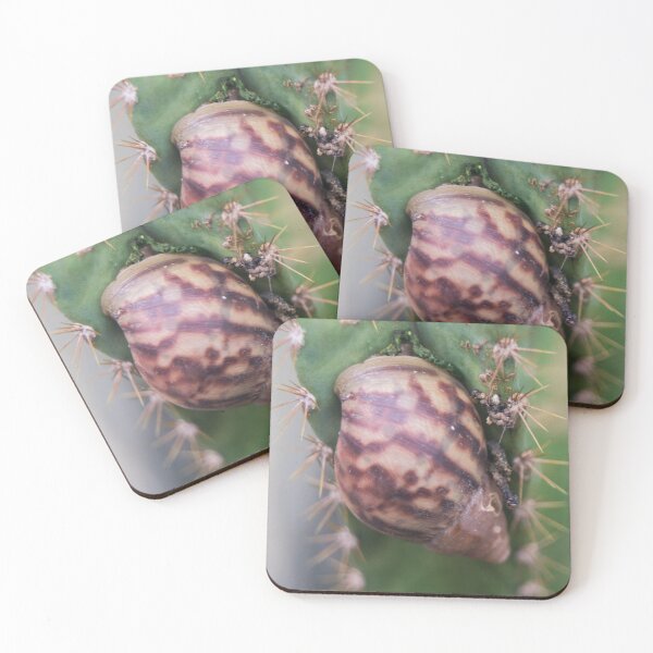 Item preview, Snail on a Cactus designed and sold by ROSE ANN BANILAR.
