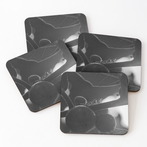 Item preview, B&W -  Ants on Fig Tree designed and sold by ROSE ANN BANILAR.