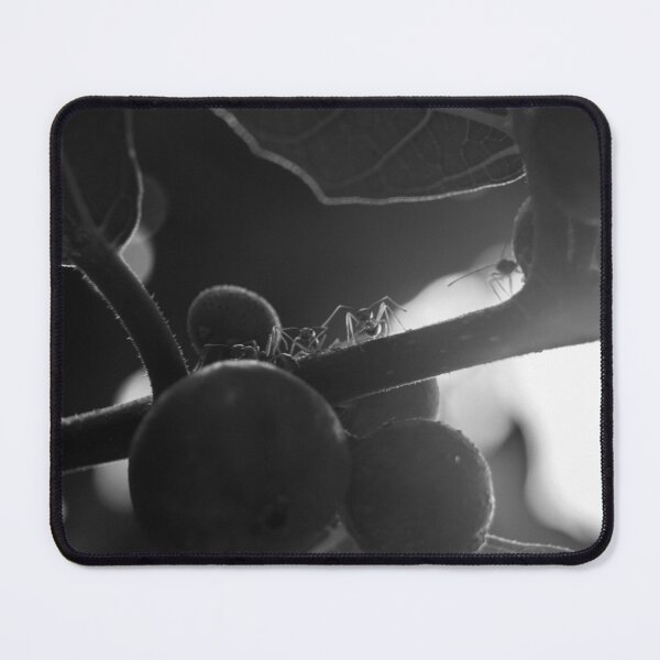 Item preview, B&W - Ants on Fig Tree designed and sold by ROSE ANN BANILAR.