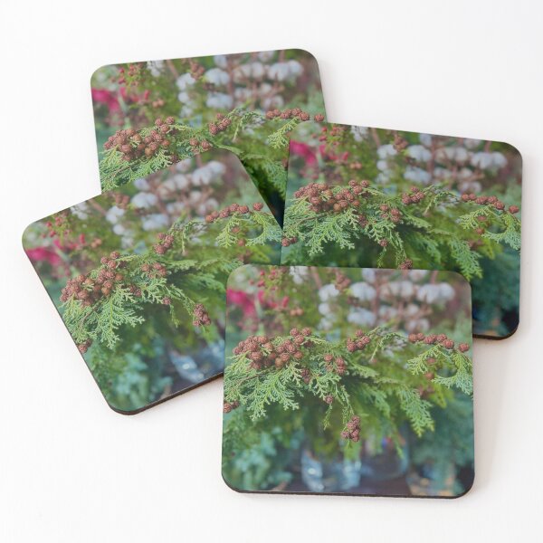 Item preview, Blooming Hurley International aWith Passion designed and sold by Arongraper.