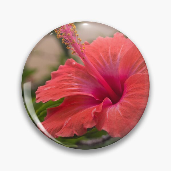 Item preview, Shoeblack Plant designed and sold by ROSE ANN BANILAR.