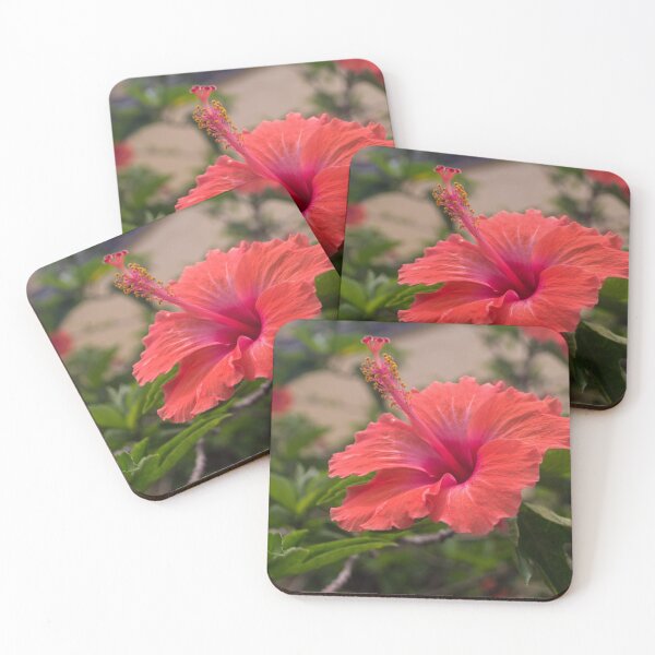Item preview, Shoeblack Plant designed and sold by ROSE ANN BANILAR.