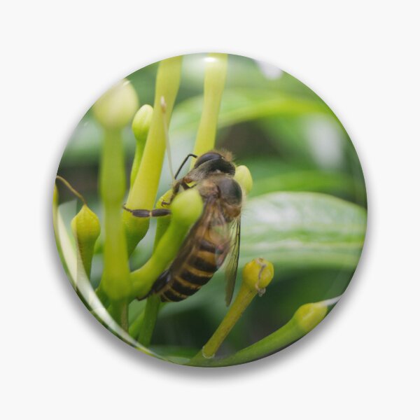 Item preview,  Asian honey bee designed and sold by ROSE ANN BANILAR.